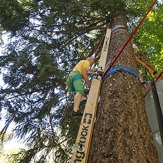 Singing Rock @ MHFF 2016